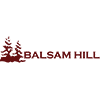 Balsam Hill Branding and Direct Response Videos